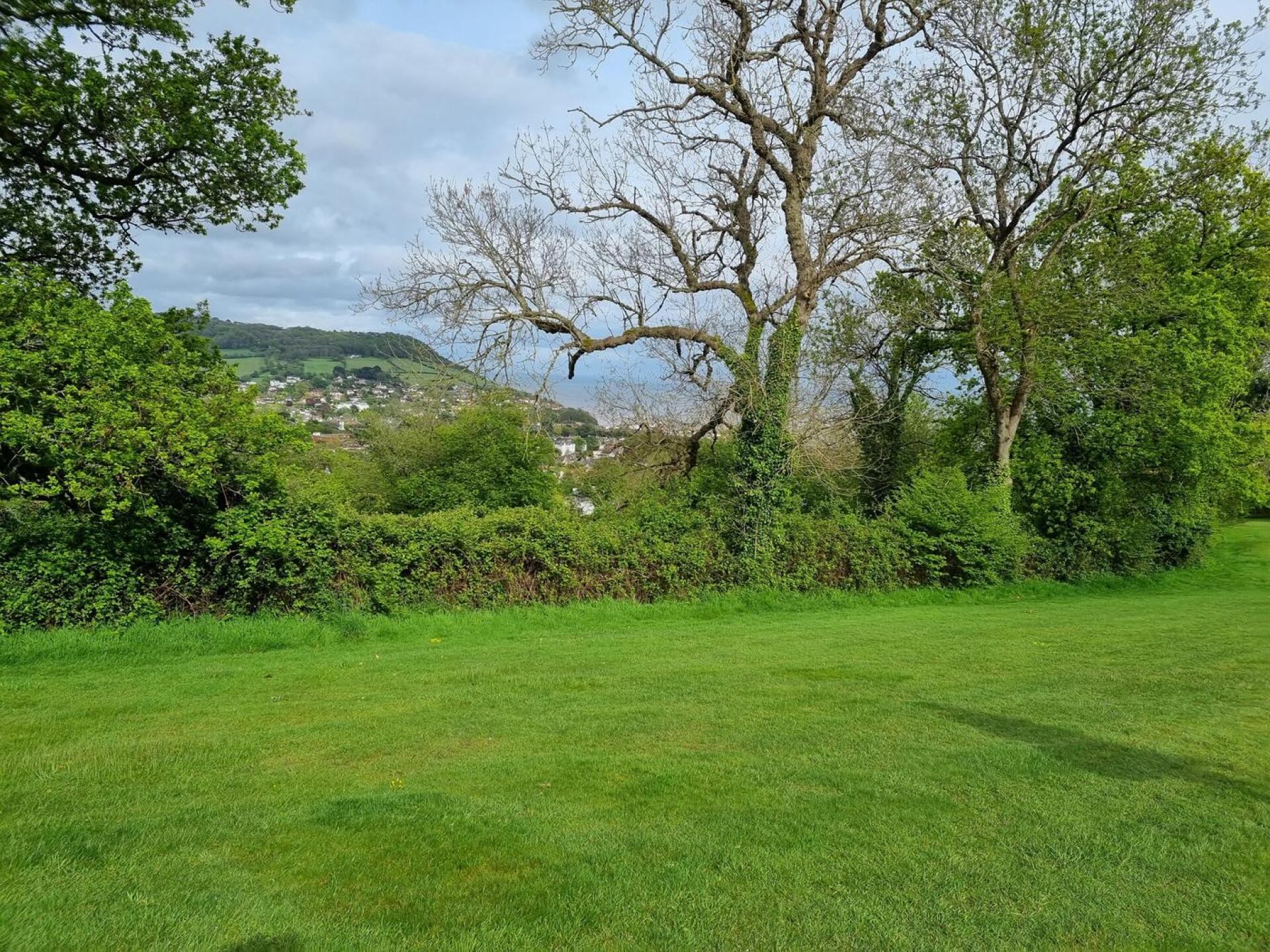 (Photo submitted by u314160670245 on 05/21/2021)