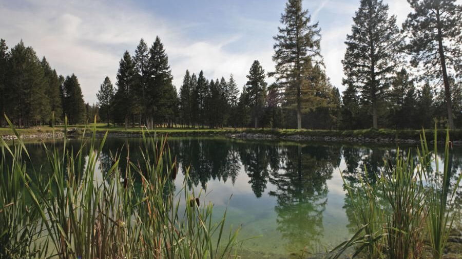 Cranbrook GC: The reservoir adjacent to #11, #12 and #16