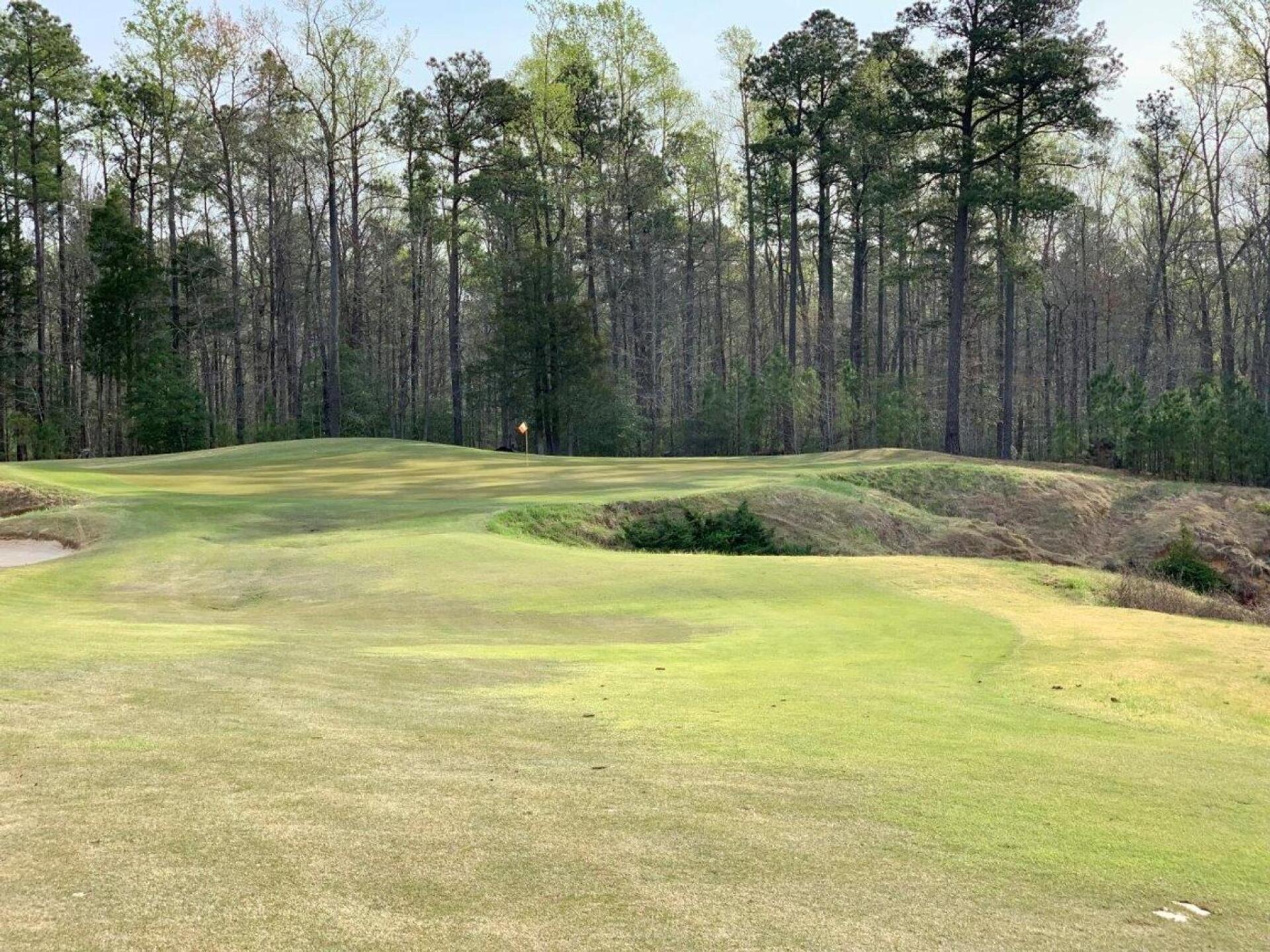 (Photo submitted by rkellyapcfilters on 04/14/2022)