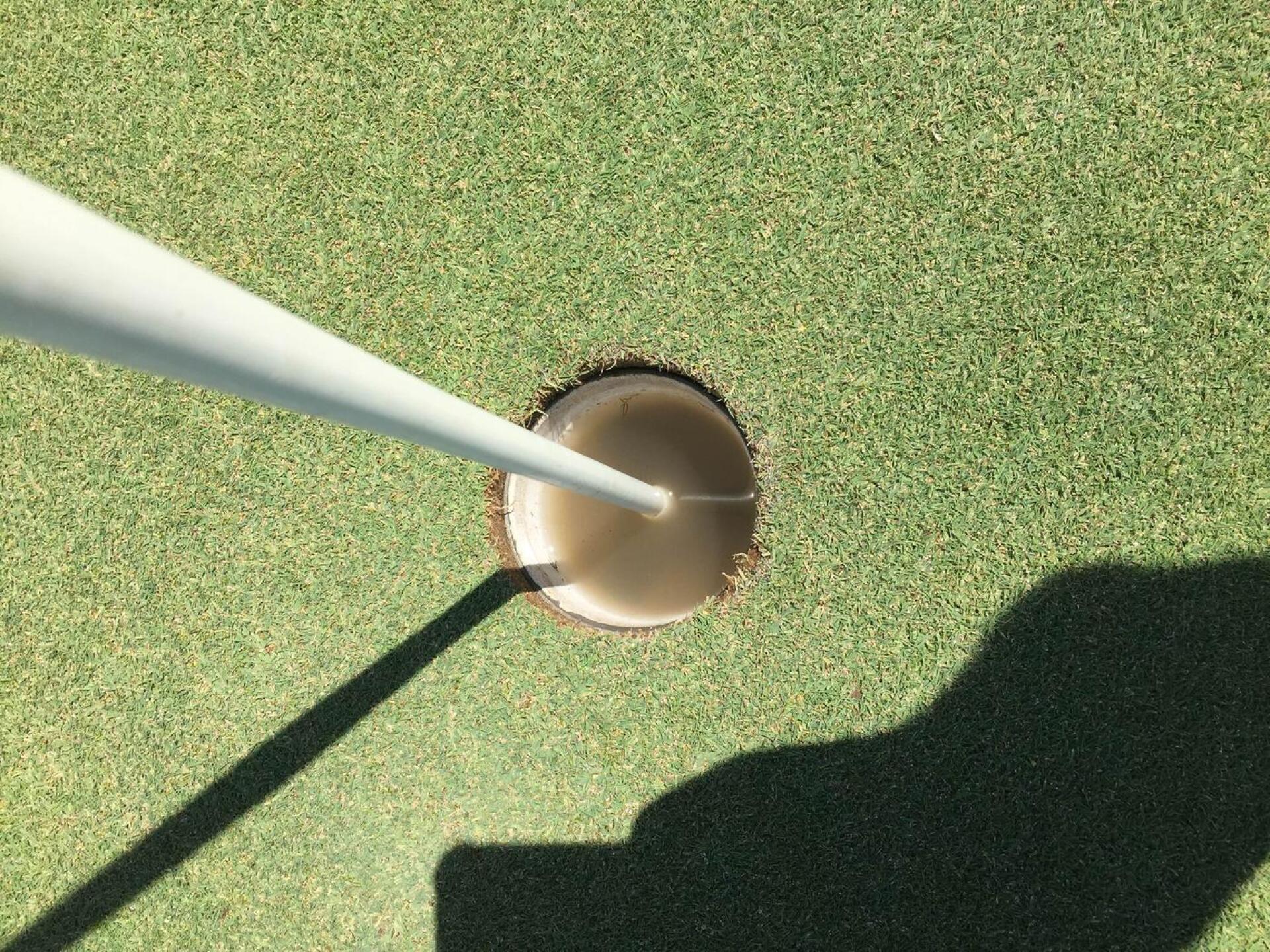 Water filled cup (Photo submitted by Thomas3110232 on 06/05/2016)