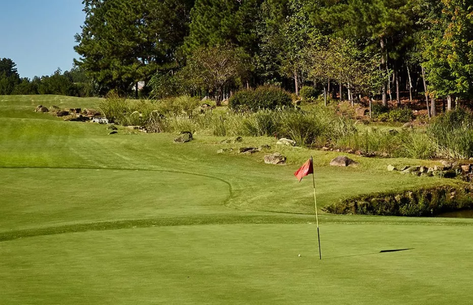 Sun City Peachtree GC