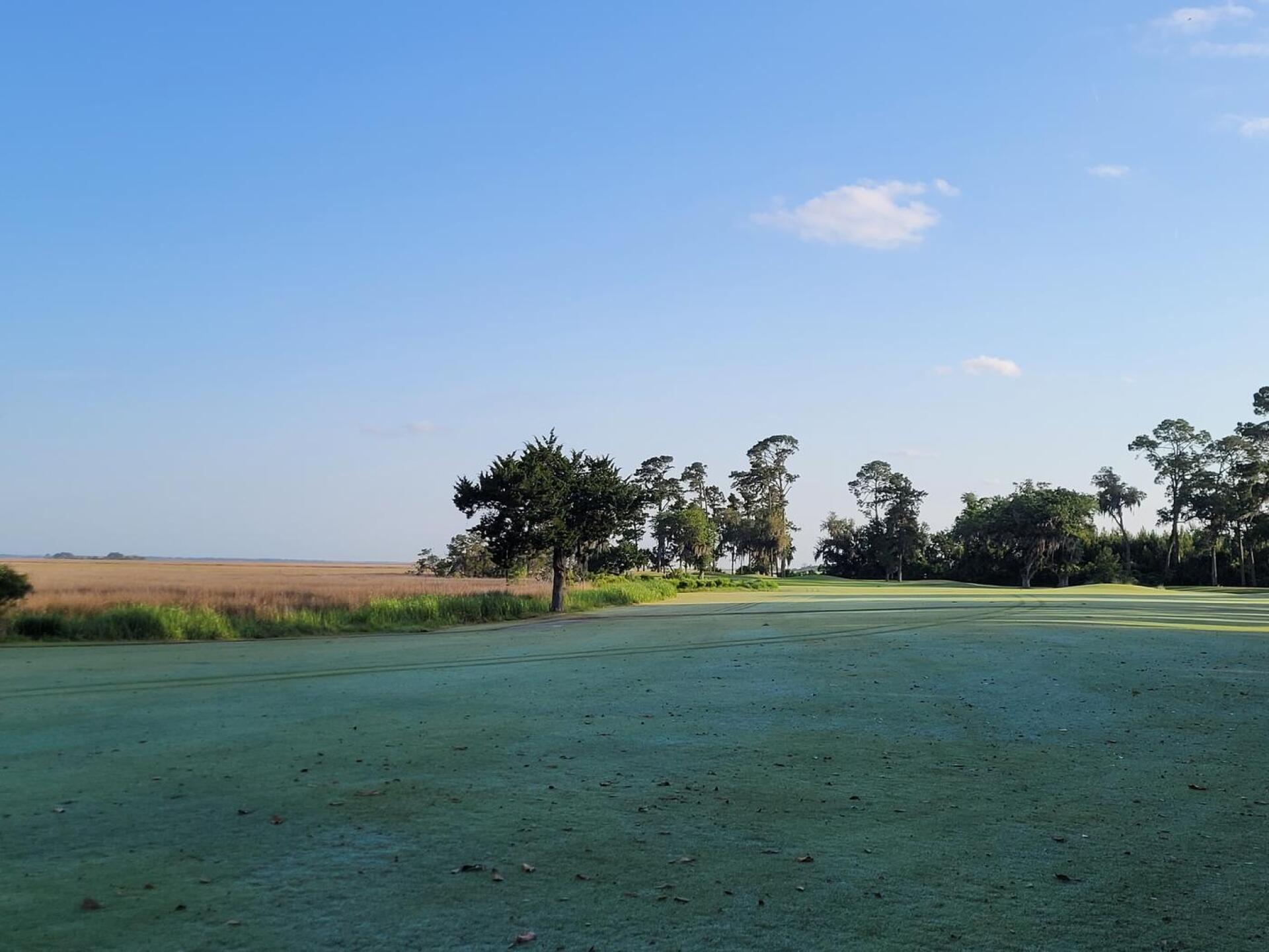 (Photo submitted by tiburonazo on 04/29/2022)