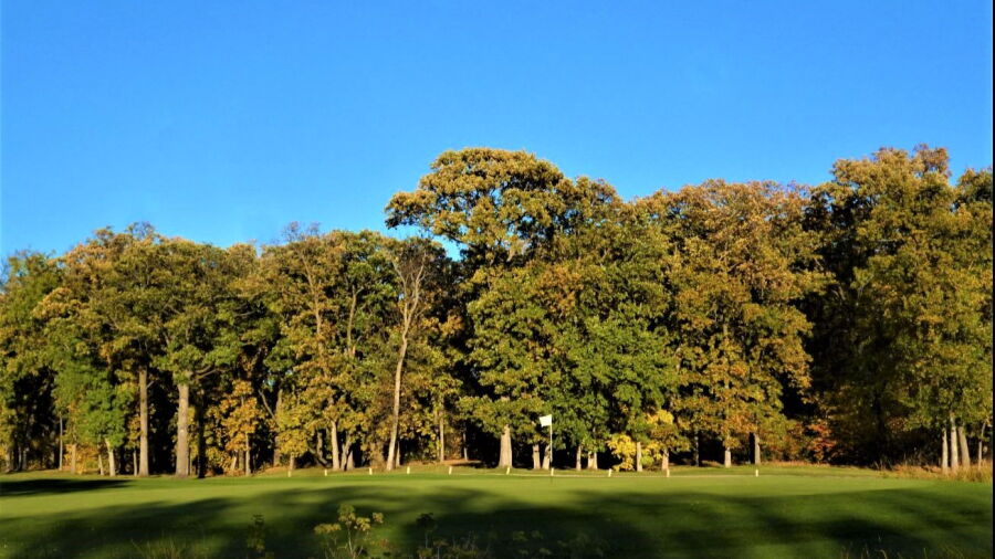 Bridges GC: #6