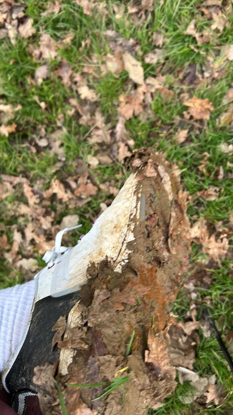 (Photo submitted by Gp1rmzWivE87o1TAumkq on 01/01/2025)