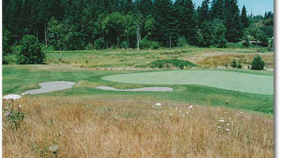 Stone Creek #12