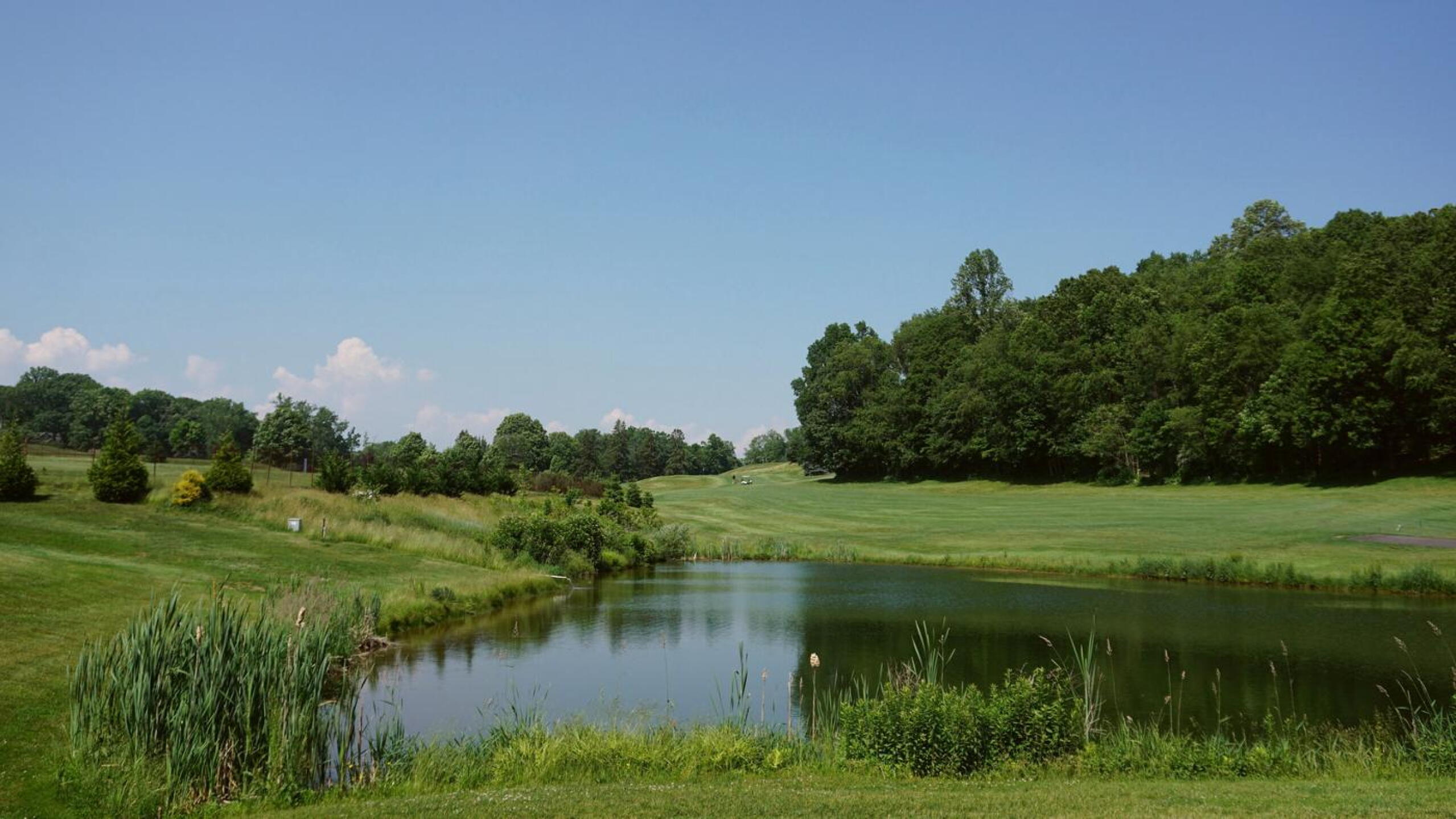 Eight. Great uphill par-4 of 363. A tough drive to an angular fairway with OOB awaiting on the right. (Photo submitted by AptlyLinked on 06/25/2021)