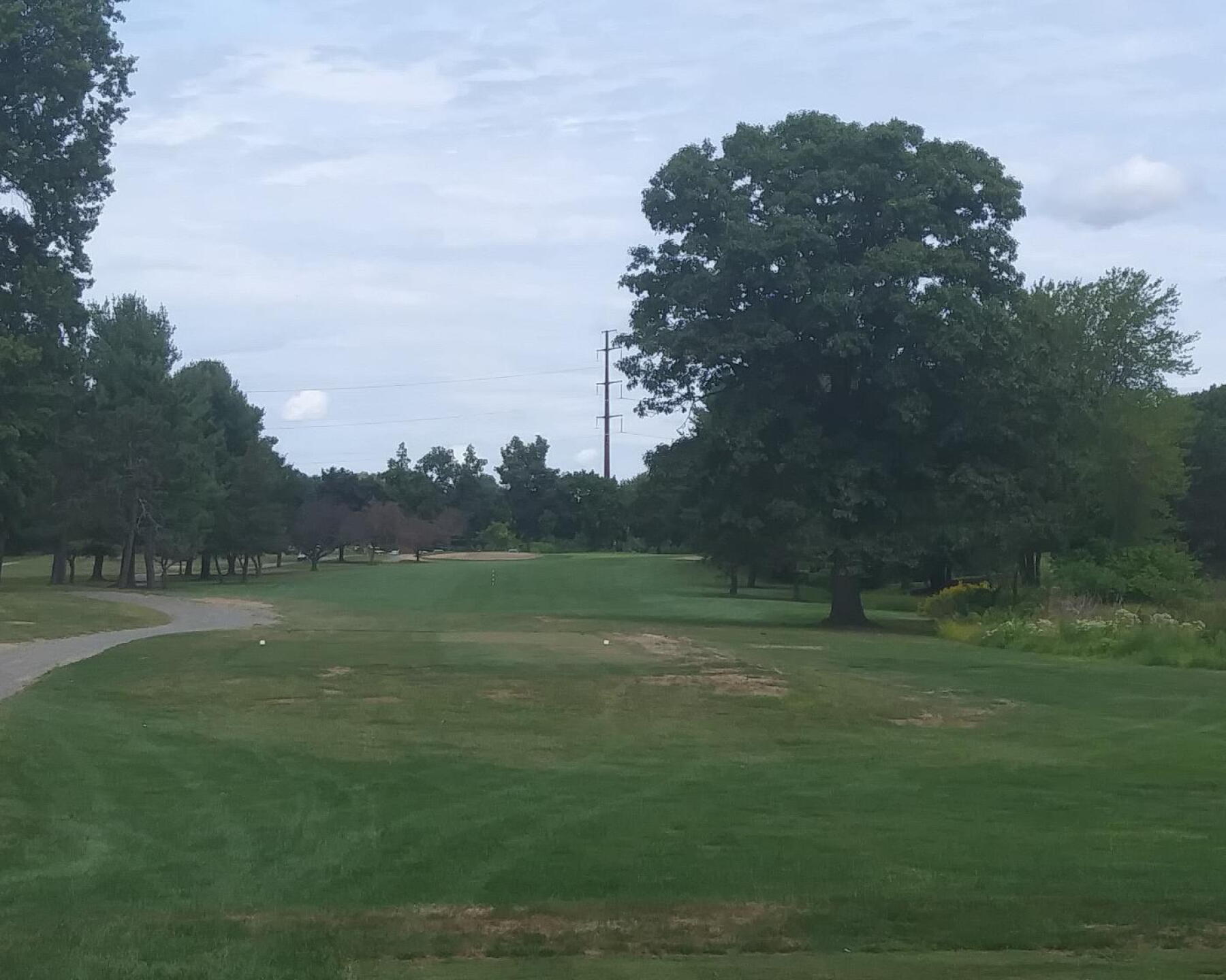 2nd tee: huge tree on right , fully in the way! (Photo submitted by AptlyLinked on 09/03/2019)