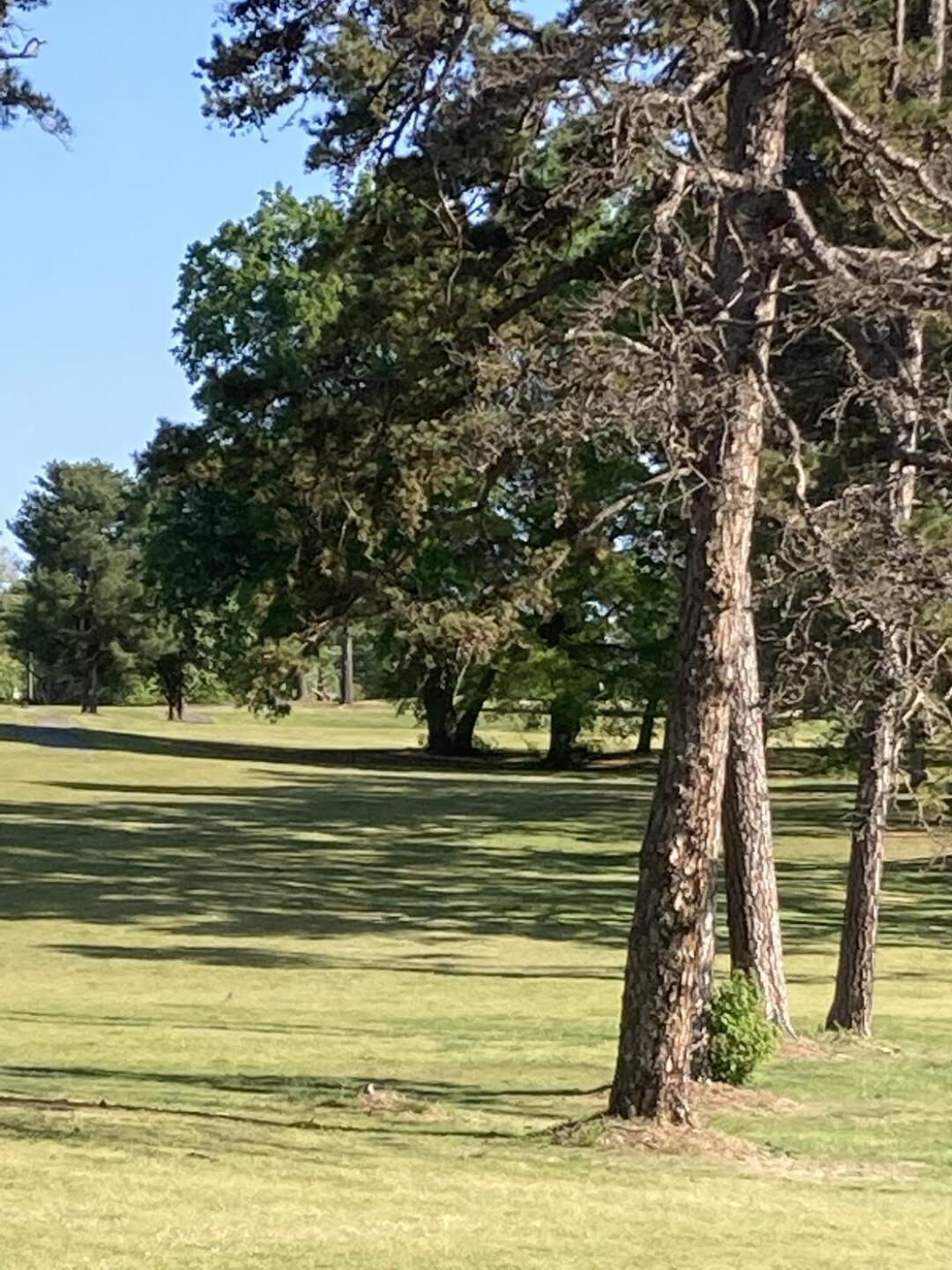 (Photo submitted by LeeAlasNotTrevino on 05/08/2022)