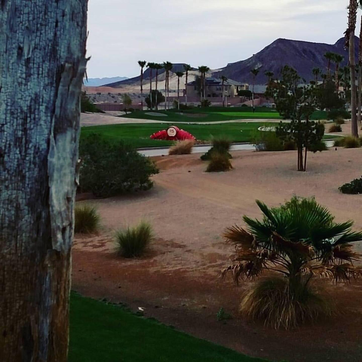 (Photo submitted by sorenj on 04/25/2017)