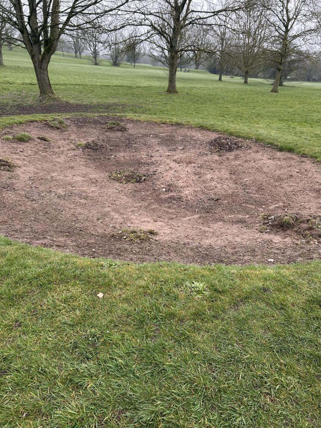 (Photo submitted by t946062625 on 03/24/2025)