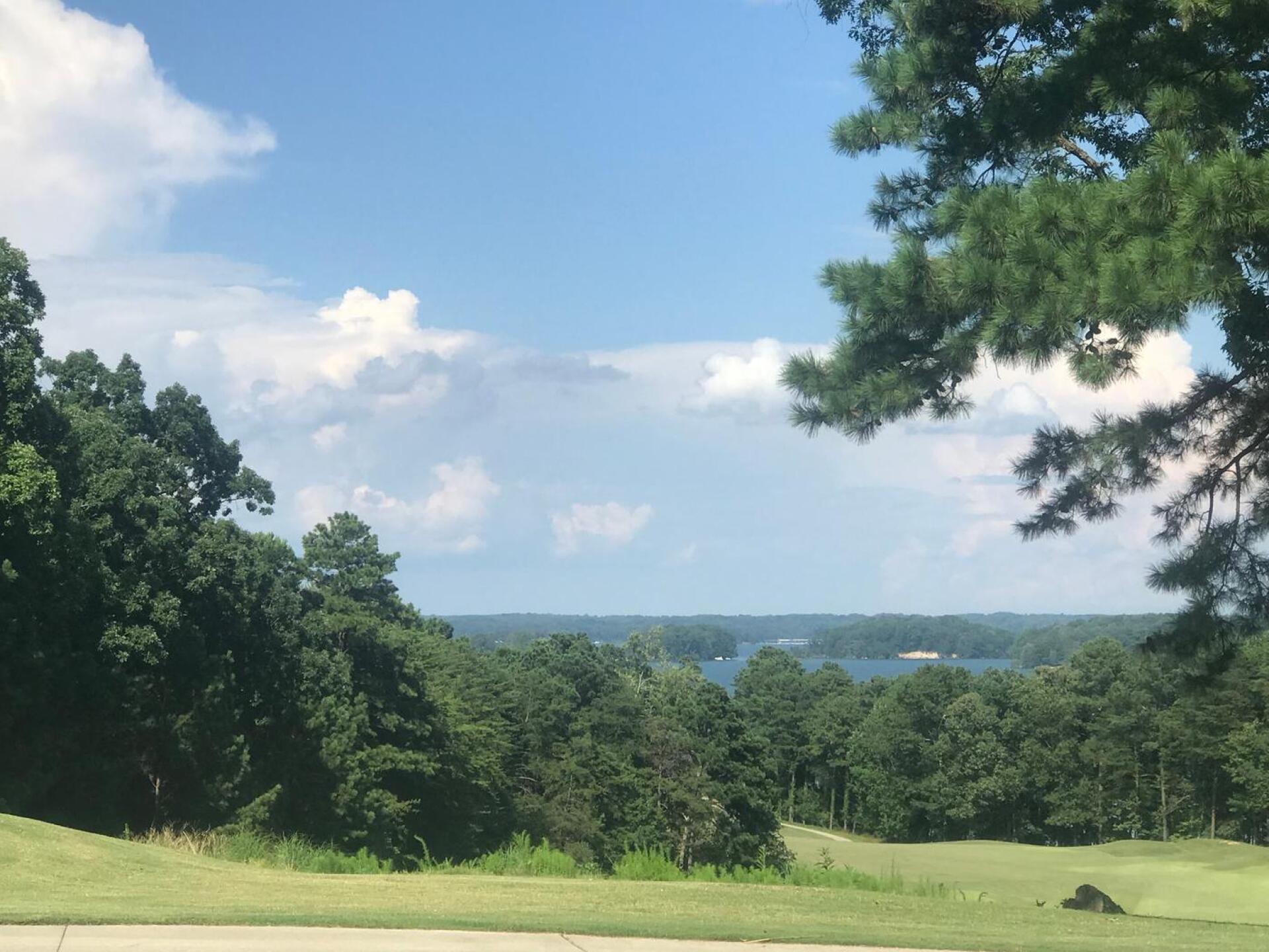 Wow (Photo submitted by Marjorie67 on 07/26/2018)