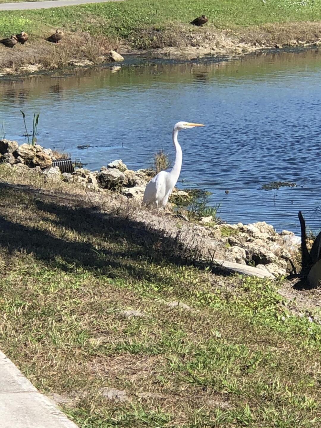 (Photo submitted by karl7274565 on 11/23/2020)