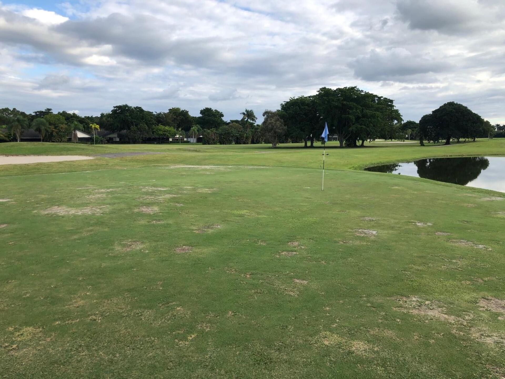 Green at Bonaventure (Photo submitted by BirdyGolfer23 on 11/28/2020)