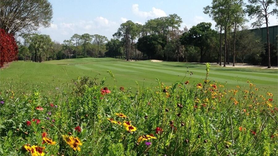 The Hideaway CC: #4