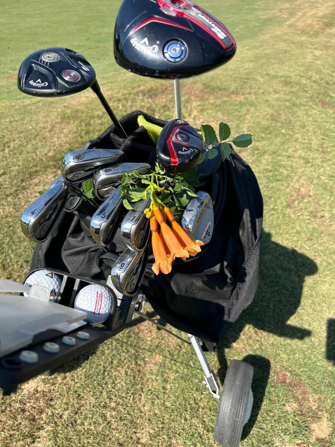 (Photo submitted by u314159968851 on 10/14/2024)