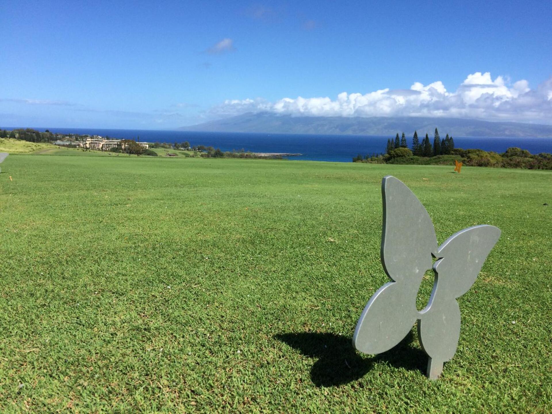 (Photo submitted by BrandonWebb on 01/01/2017)