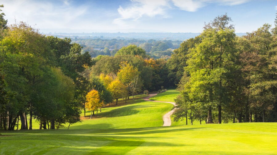 Sandford Springs GC - Wood: #15