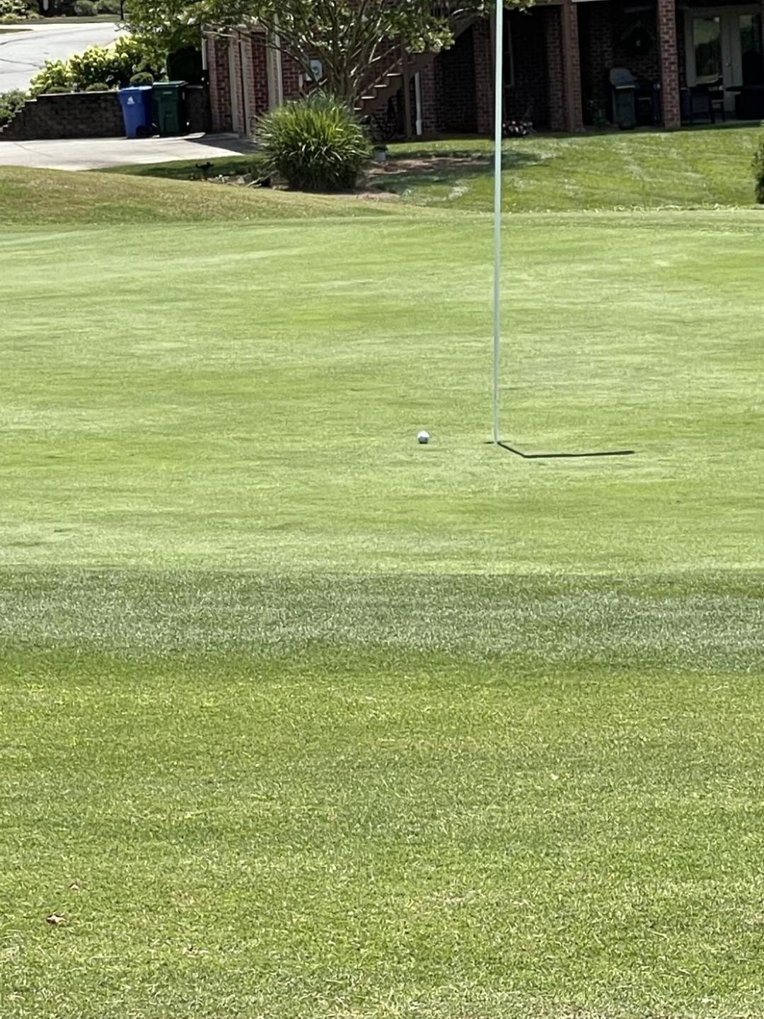 (Photo submitted by u313753252 on 07/15/2021)