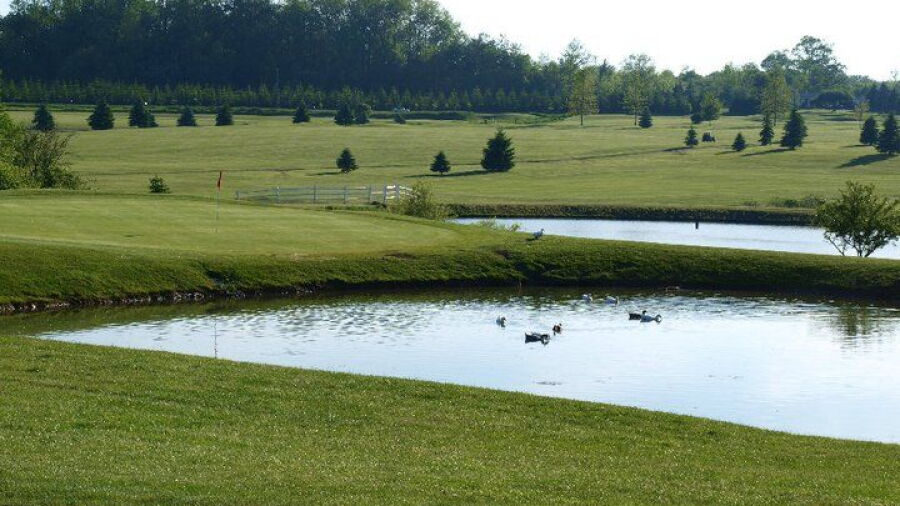 Crab Apple Ridge GC
