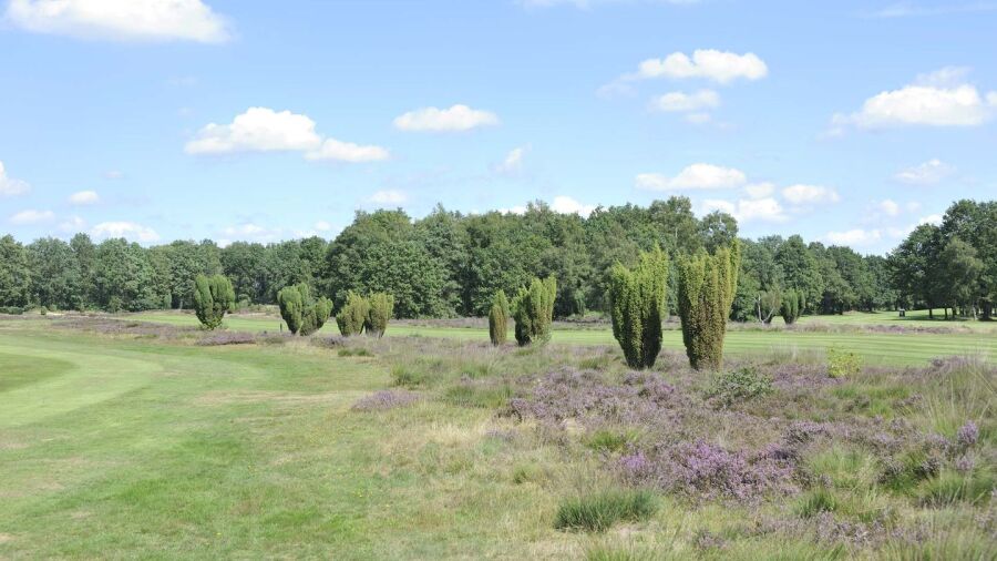 Gelpenberg GC