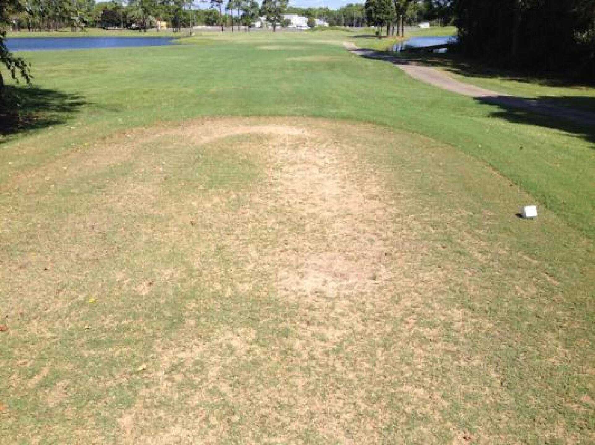 Another Tee Bos (Photo submitted by Outbreak on 09/20/2013)