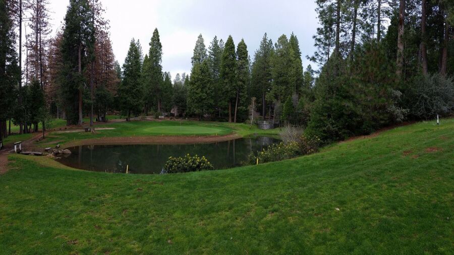 Forest Meadows GC: #9