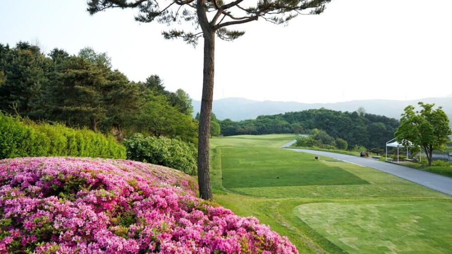 Blue One Yongin CC