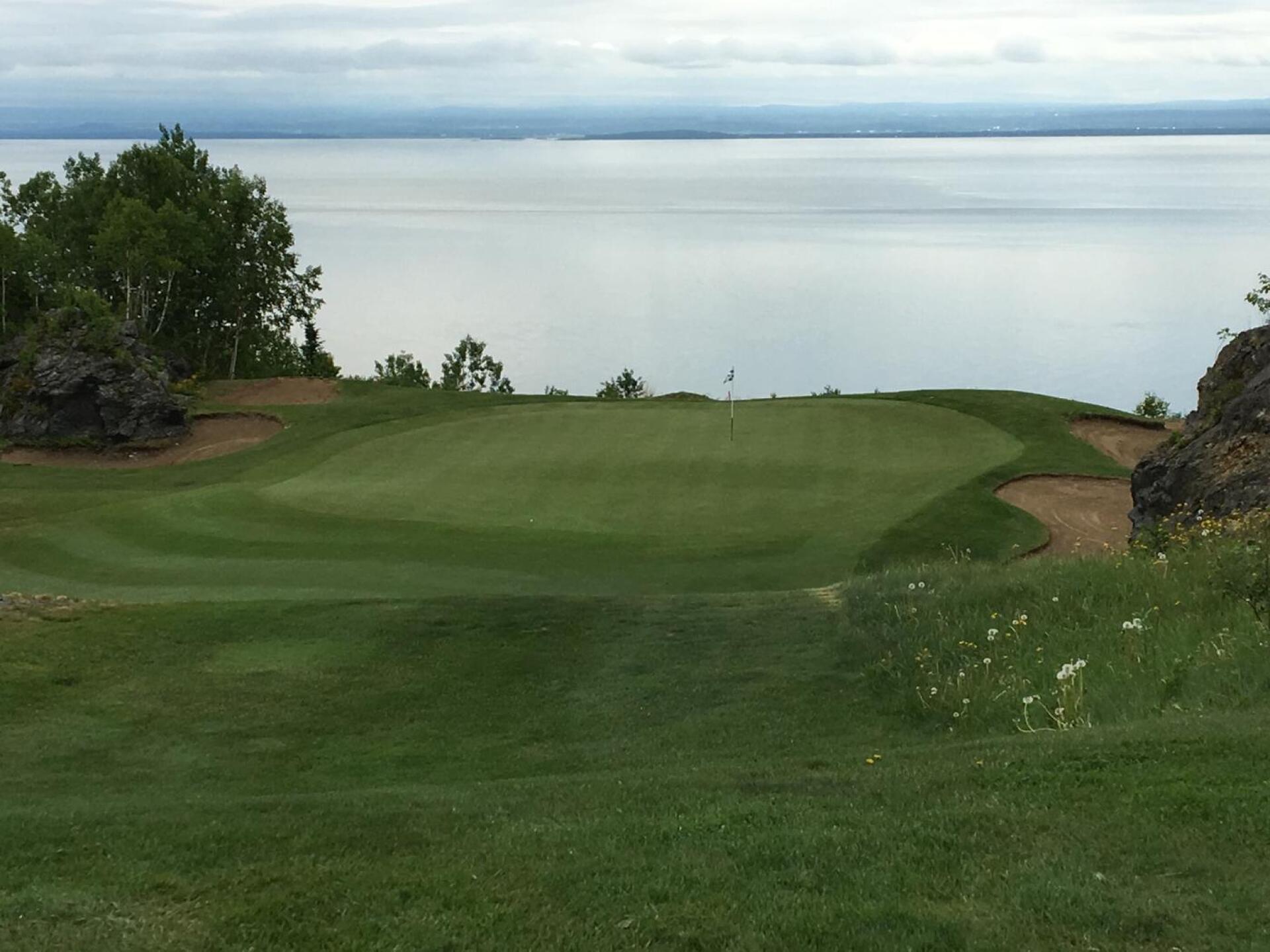 (Photo submitted by BabyLama2014 on 06/19/2017)