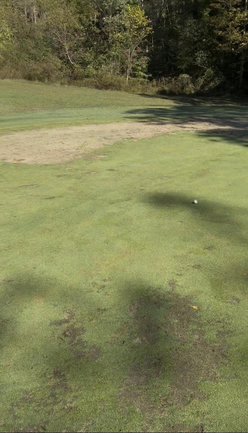 Lots of the greens are like this. (Photo submitted by SBLiles on 04/11/2026)
