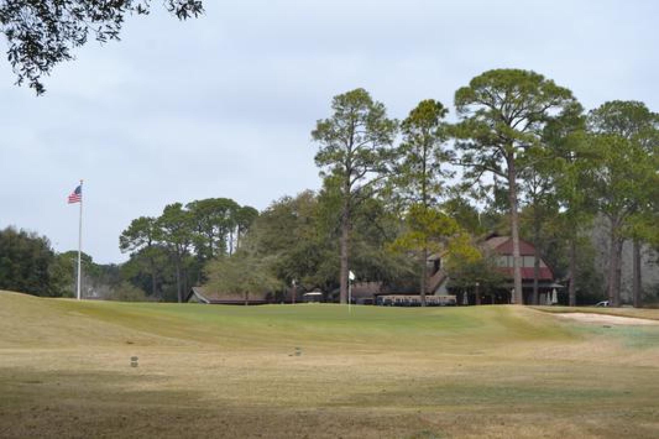 (Photo submitted by Allen43915 on 03/21/2015)