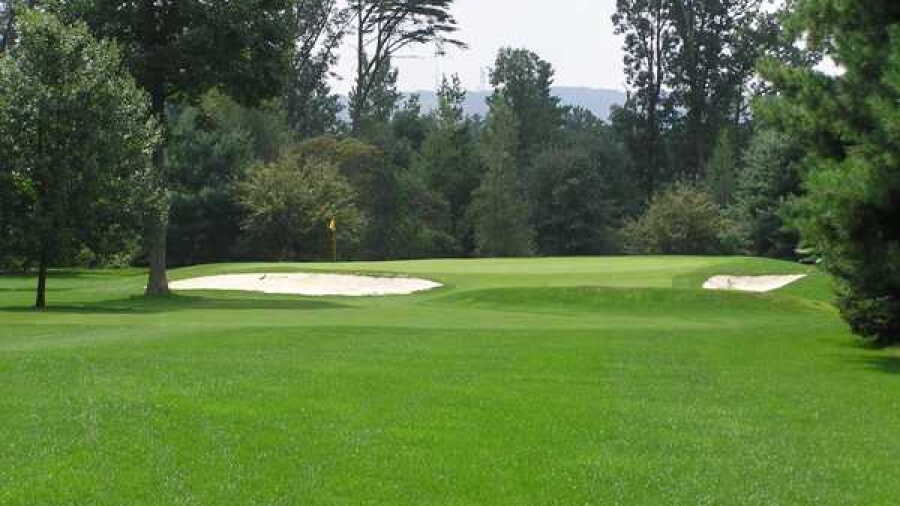Blue Shamrock GC: #8