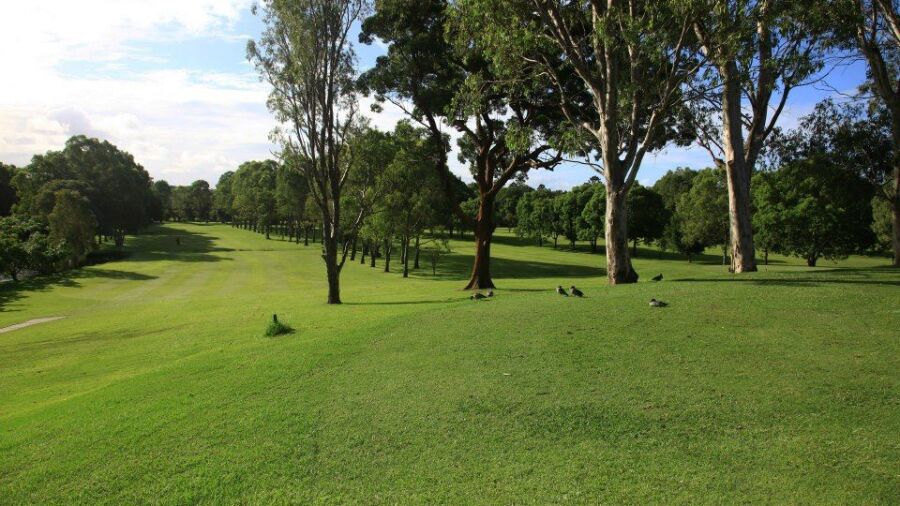 Tallebudgera GC: #1