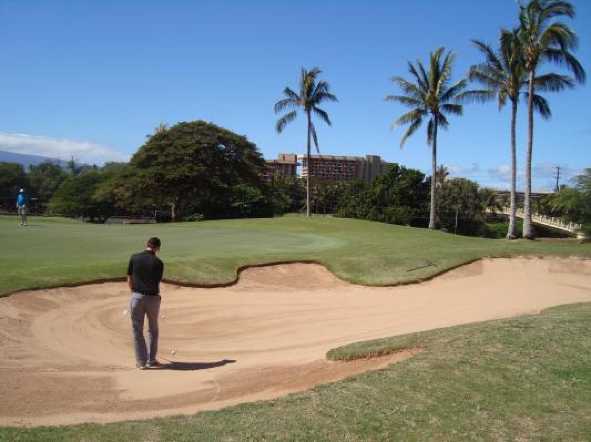 Maui beaches! (Photo submitted by u000005546095 on 02/17/2013)