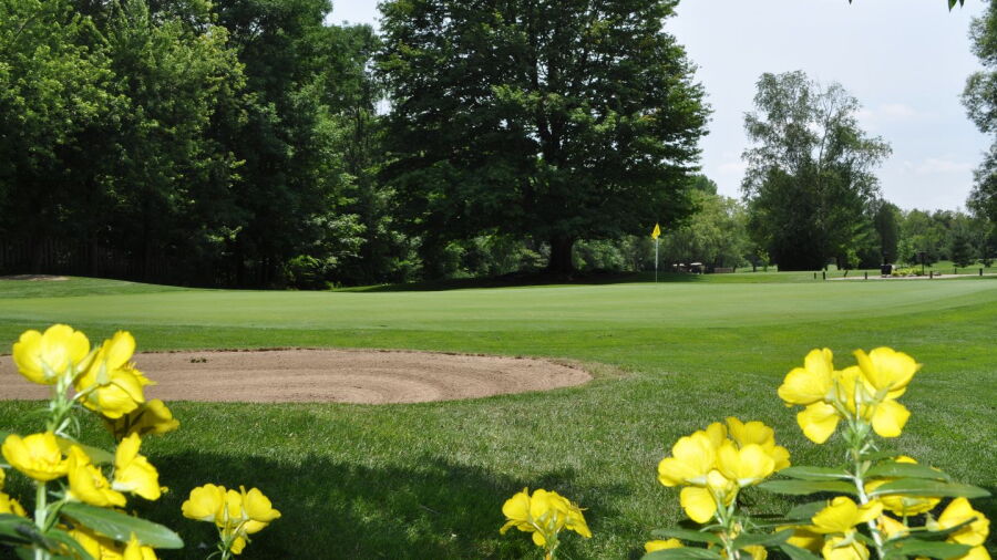 Cambridge GC