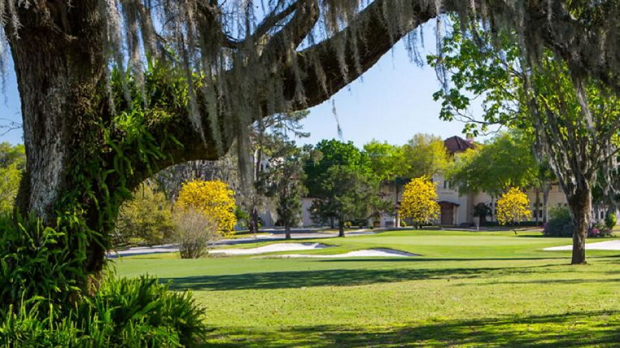 Temple Terrace GCC: #18