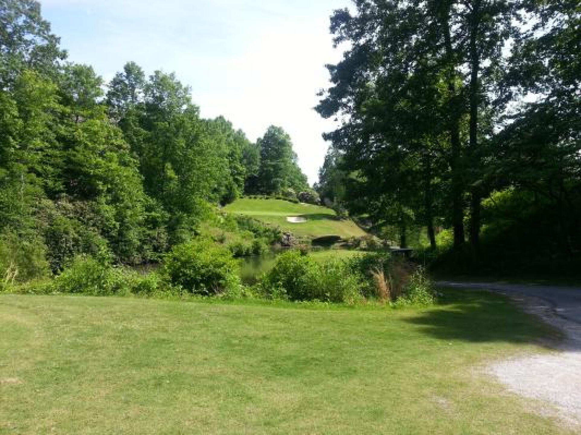 Hole #8 (Photo submitted by mercury10 on 05/31/2013)