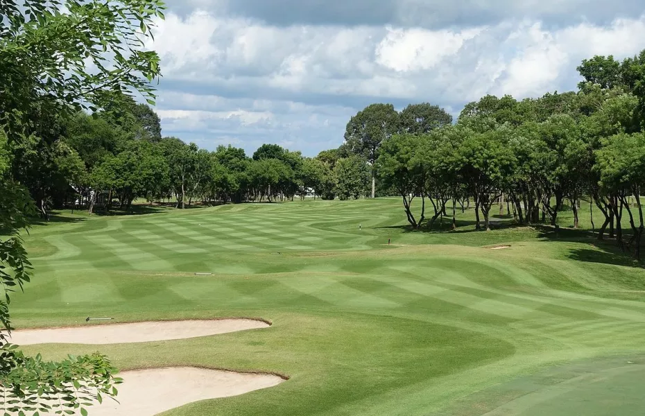 Phoenix Gold GCC - Mountain: #5