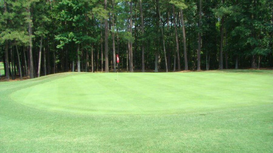 Lakeshore GC: #13