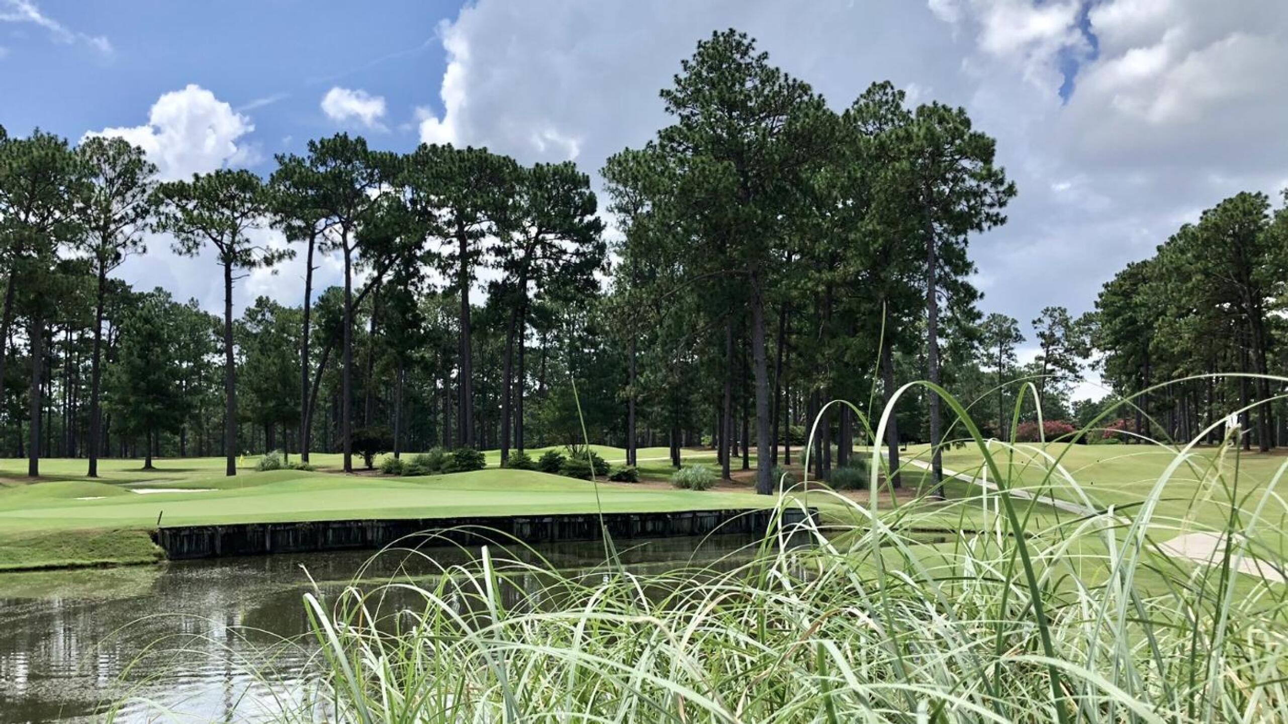 Eighth green (Photo submitted by BrandonWebb on 07/19/2021)