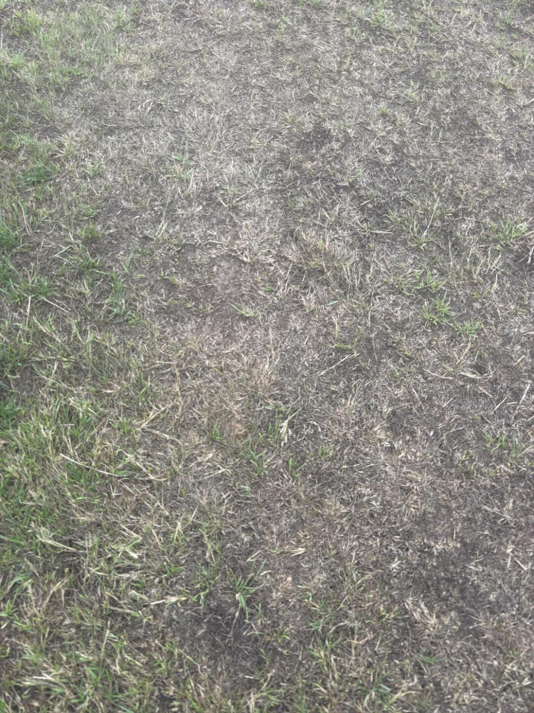 Fairway (Photo submitted by nickturns on 07/27/2025)