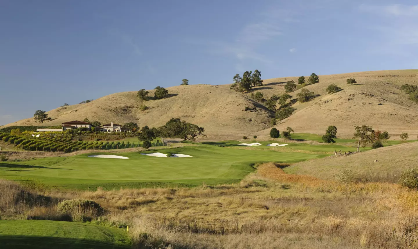 CordeValle Golf Club - vineyard