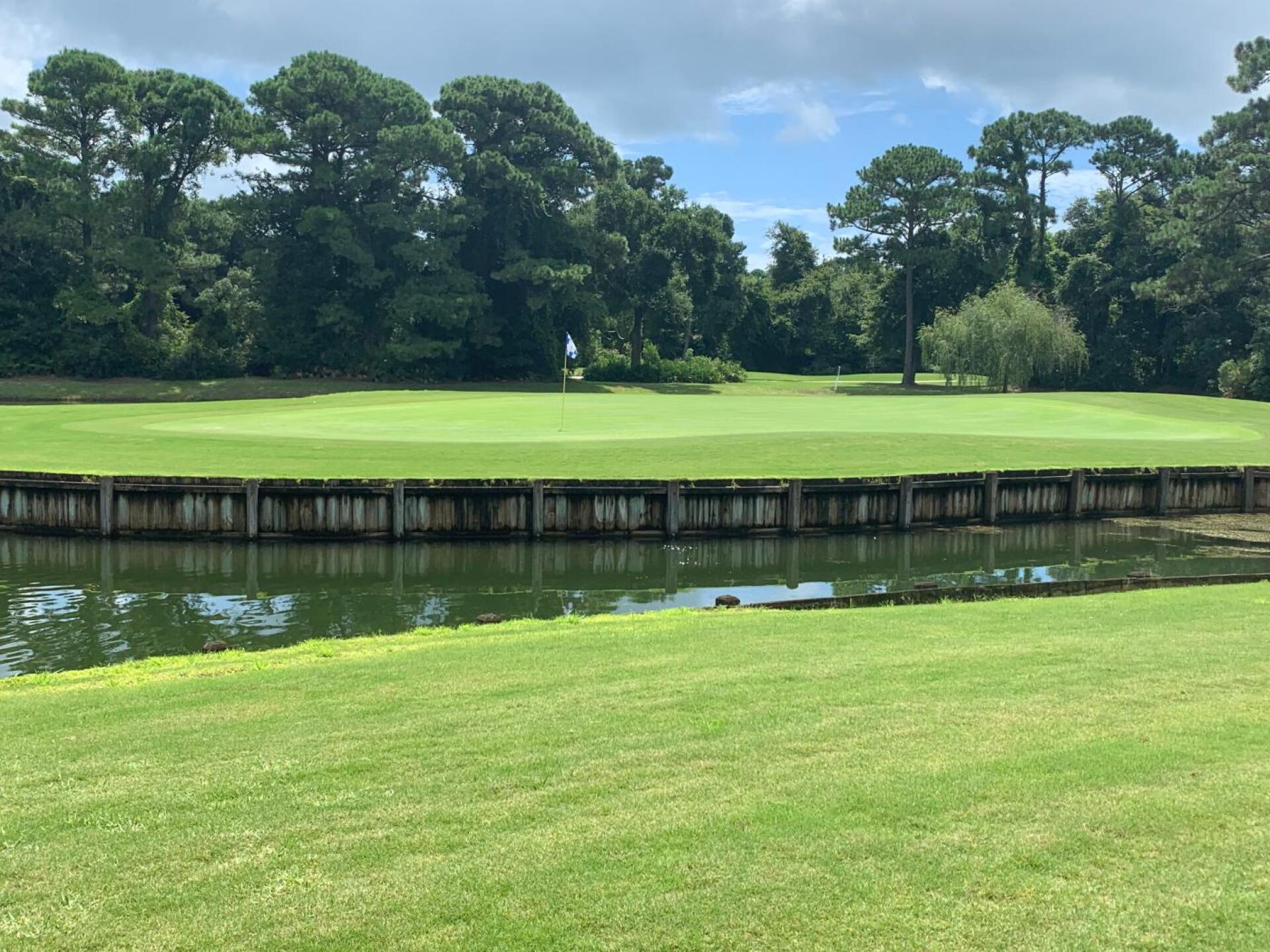 (Photo submitted by u281248119 on 08/03/2019)