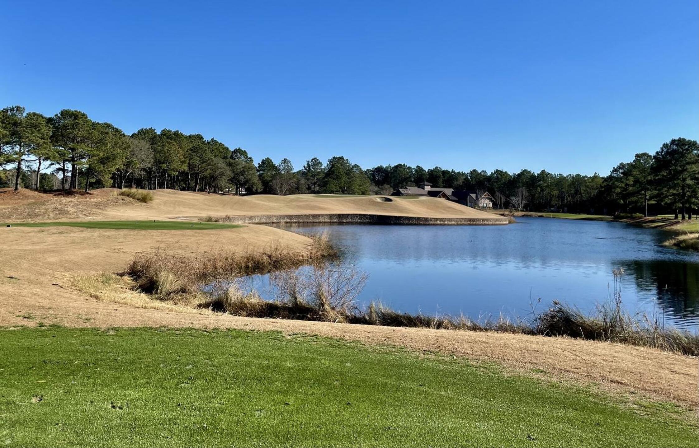 (Photo submitted by pcd328 on 01/15/2026)