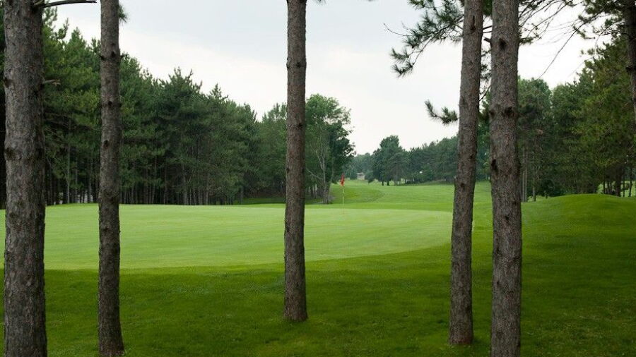 Six Foot Bay R GC: #1