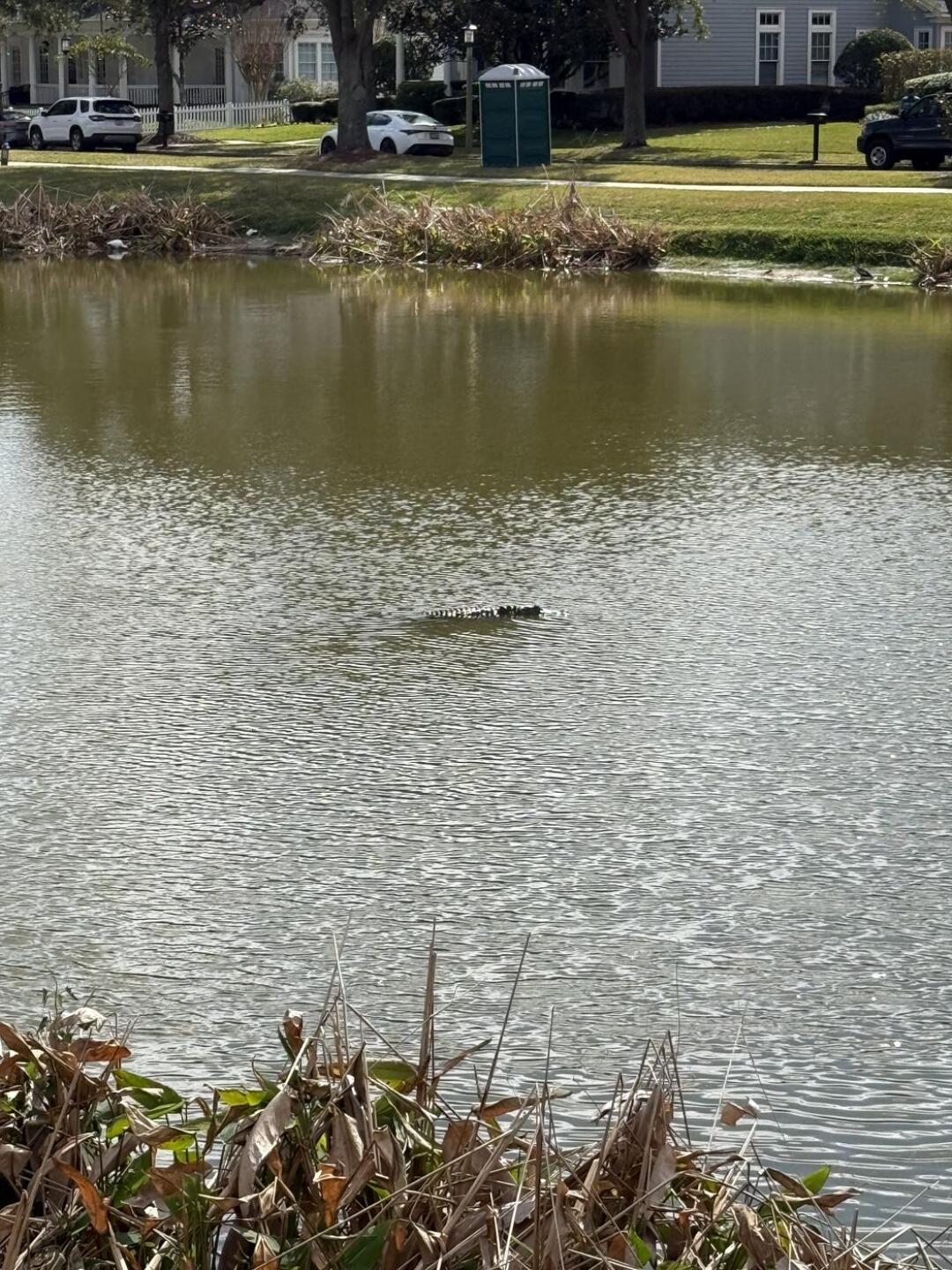 (Photo submitted by Abbdn on 01/27/2026)