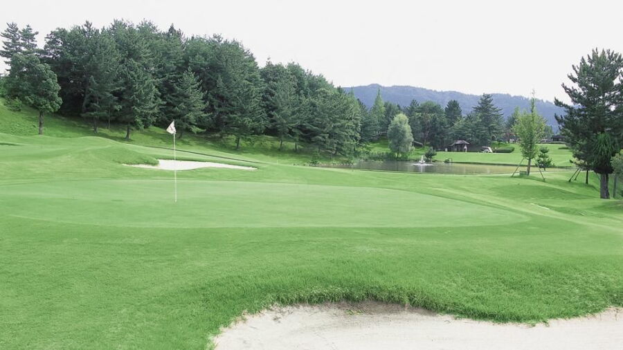 Kyowa GC