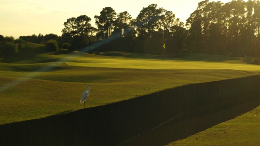 Grand Cypress Resort's New Course - hole no. 1