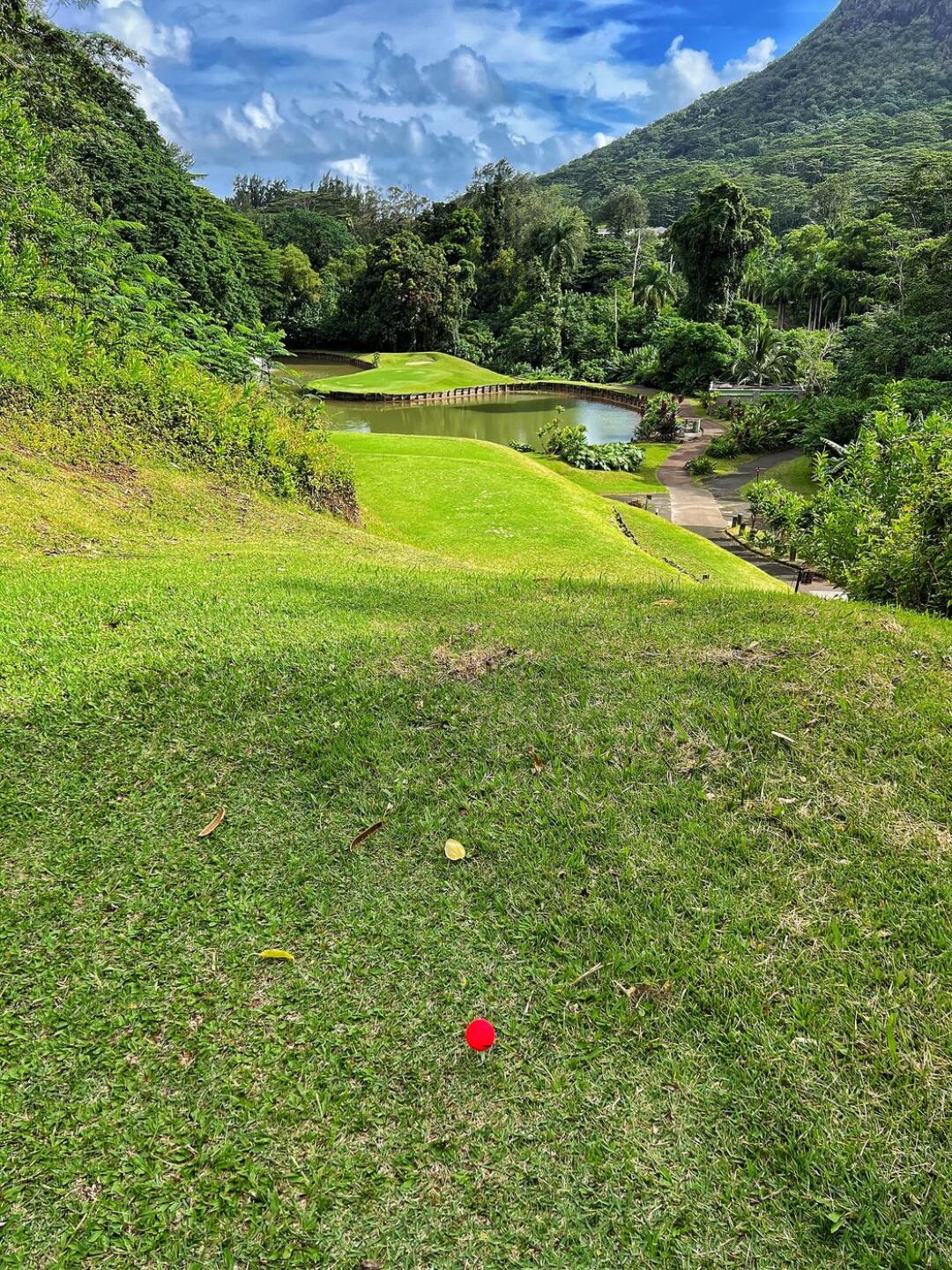 (Photo submitted by CoryLive on 09/23/2023)