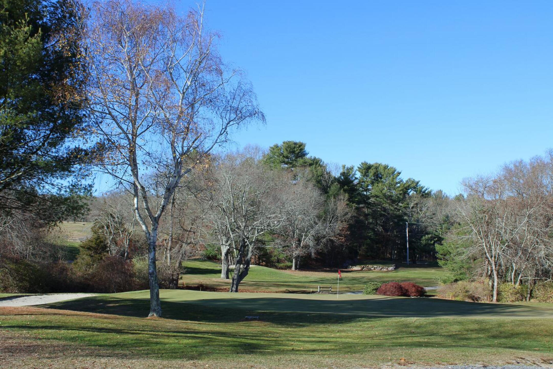 Hole four, par-3, 162: The tee shot must be a good one to this raised green (seen from behind). (Photo submitted by AptlyLinked on 11/23/2024)