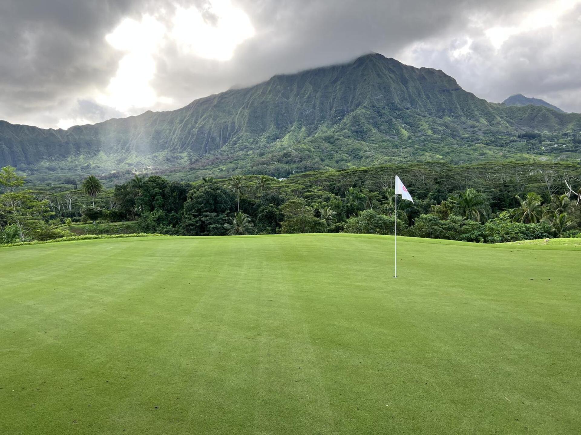 (Photo submitted by u107830634 on 12/23/2022)